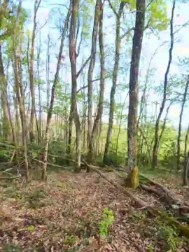 Cam4 Watch Live Sex Cams of Legtiste