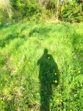 Cam4 Sex Cam of Legtiste