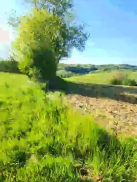 Cam4 Private Sex Chat of Legtiste