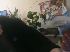 Cam4 Nude Webcam of JudaSx666