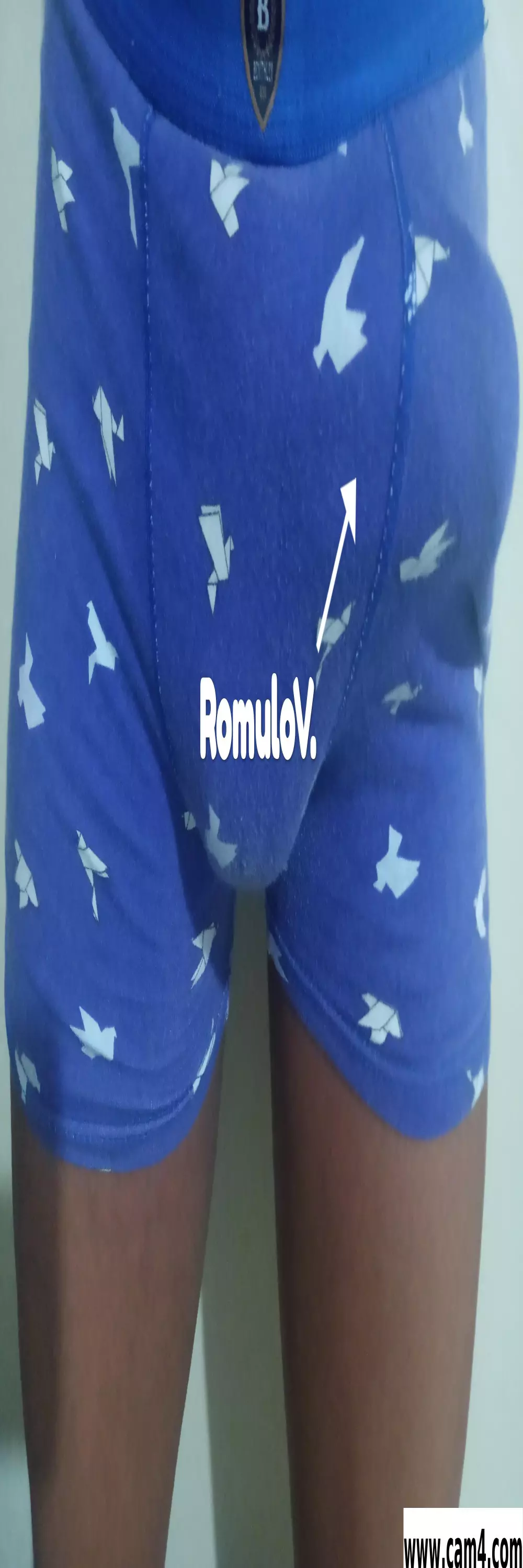 Romulov