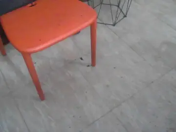 Cam4 Adult Video Chat of antoniconexion