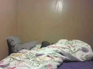 Cam4 Adult Webcams of 420rebel