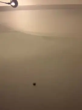 Cam4 Live Sex of Milfshake227