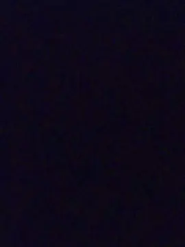 Cam4 Live Sex of wilton37