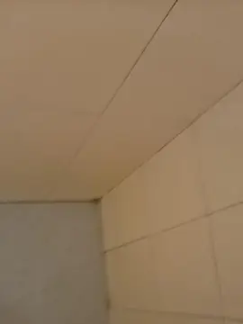 Cam4 Adult Webcam of Foijr