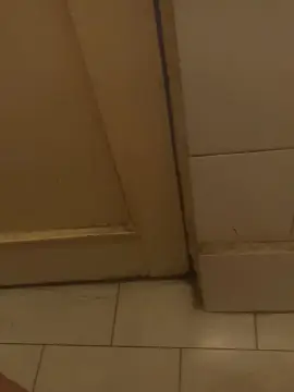 Cam4 Live Porn of alexande14693