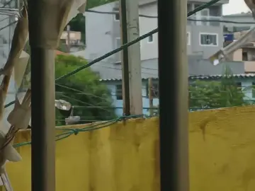 Cam4 Watch Live Sex Cams of lianecross35