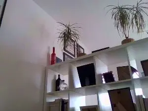 Cam4 Live Porn of bigcockjohnxxx