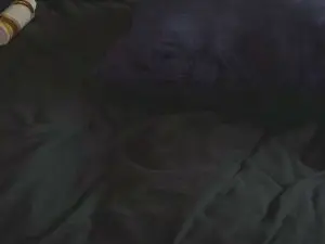 Cam4 Sex Cam of jaketakescock