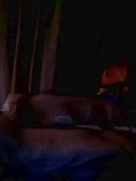 Cam4 Adult Video Chat of saulitos2