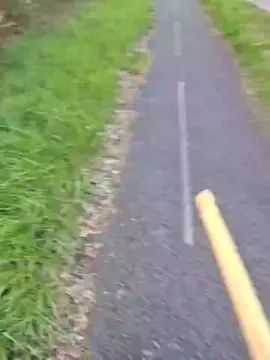 Cam4 Sex Cam of Gym2