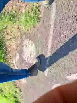 Cam4 Sex Cam of Gym2