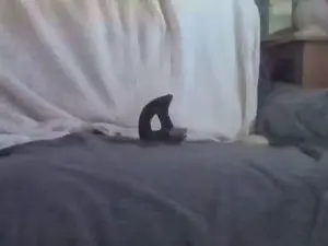 Cam4 Sex Chat of Gym2