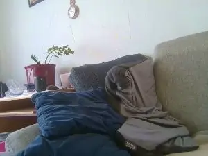 Cam4 Best Webcam of Immerwiedermal