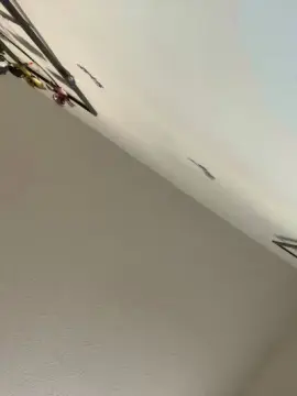 Cam4 Best live sex cam show of Starstorm