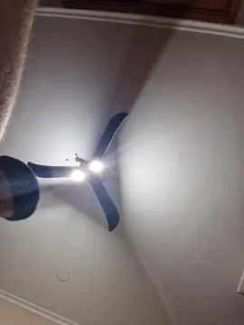 Cam4 Sex Chat of Isisytomy