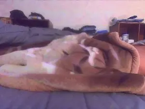 Cam4 Adult Webcams of panpee1