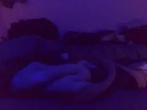 Cam4 Sex Cam of panpee1