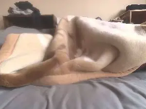 Cam4 Private Sex Chat of panpee1