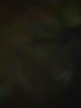 Cam4 Free Live Porn of Jotaa21