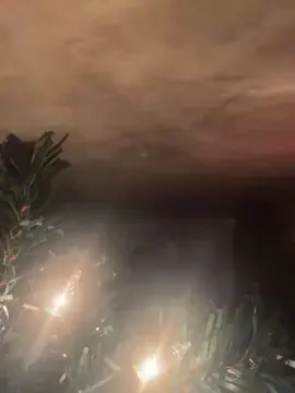 Cam4 Free Live Porn of Bigguy0000