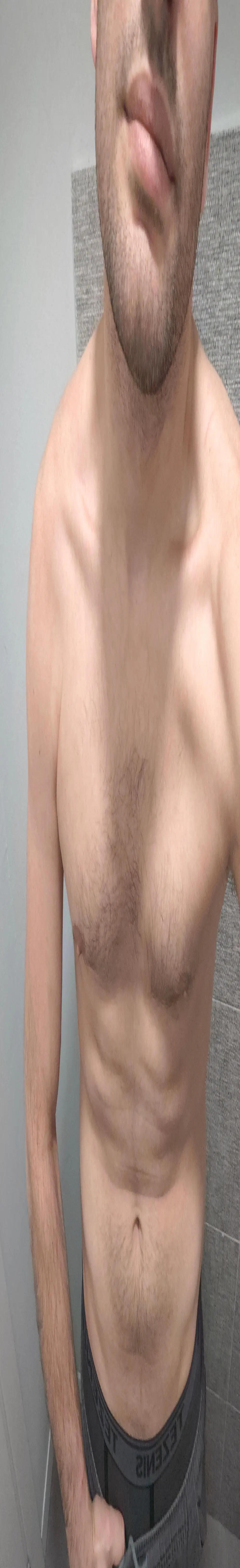 italian_bull1