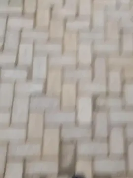 Cam4 Live Porn of mineirinhonata1