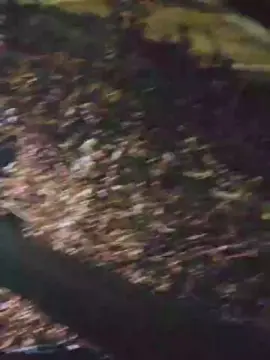 Cam4 Best Webcam of Algerinobig