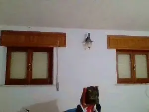 Cam4 Live Sex of COBRAHARD