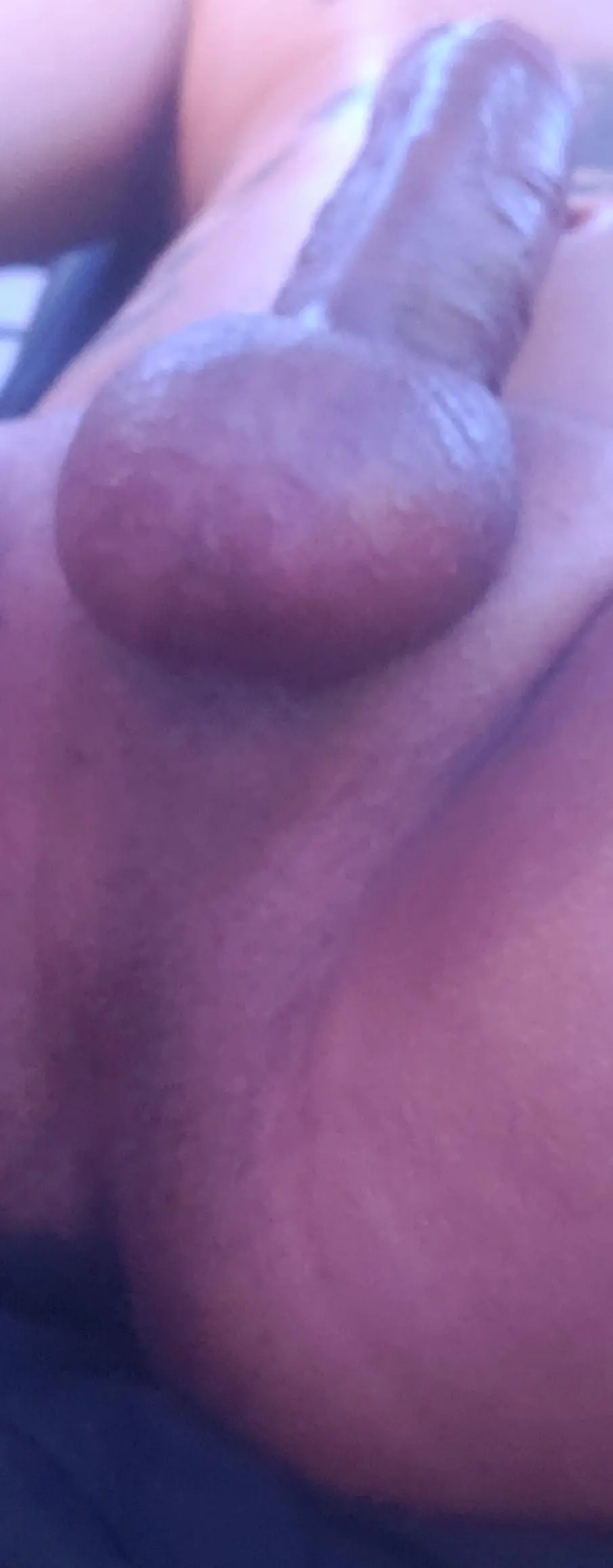Papichuloxo