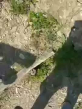 Cam4 Free Live Porn of Zorro2024