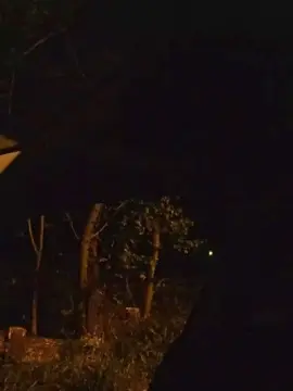 Cam4 Nude Webcam of axelblows