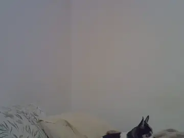 Cam4 Sex Cam of naughtyxana