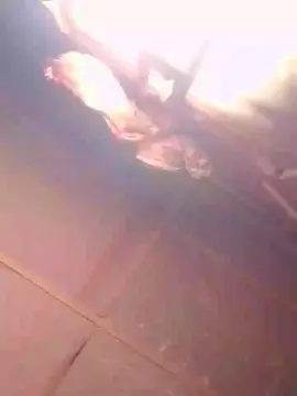 Cam4 Free Porn Cam of Cumhardick