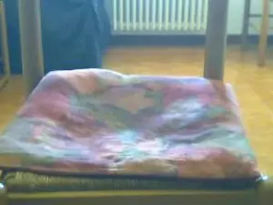 Cam4 Adult Webcam of gufetto3