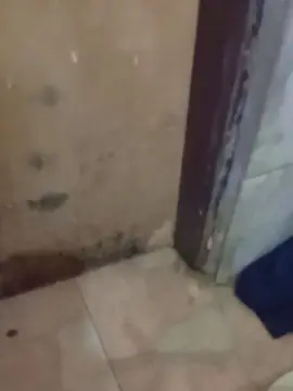 Cam4 Sex Cam of Abingosto