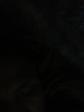 Cam4 Free Porn Cam of Negro_vergoon