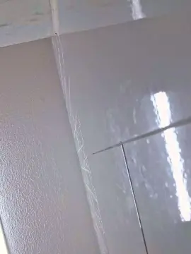 Cam4 Free Live Porn of Morenogatorj99