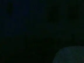 Cam4 Best Webcam of fistinsexfuture