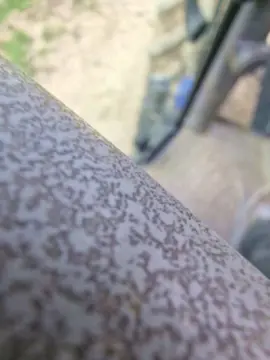 Cam4 Private Sex Chat of TheLastBebos