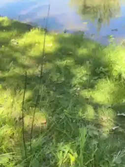 Cam4 Live Sex Cam of Laoquedad