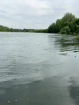 Cam4 Watch Live Sex Cams of Laoquedad