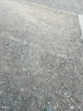 Cam4 Nude Webcam of Laoquedad