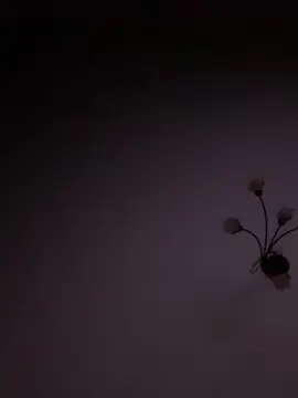 Cam4 Best Webcam of marssounet