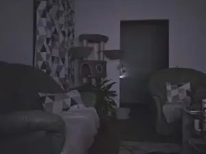 Cam4 Live Sex Cam of danddfun