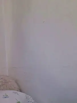 Cam4 Sex Chat of Caritovivi