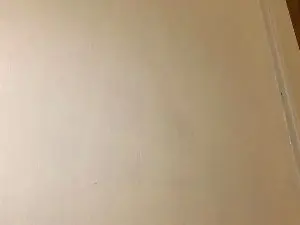 Cam4 Free Porn Cam of Javierapalacios