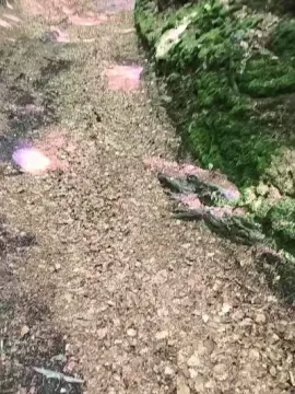 Cam4 Sex Cam of Endi7777