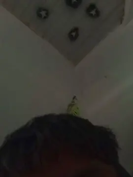 Cam4 Watch Live Sex Cams of Novinhogtz18y